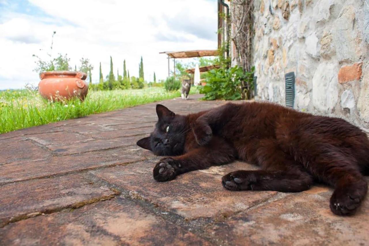 Agriturismo Fattoria Di Statiano Pomarance Kültér fotó